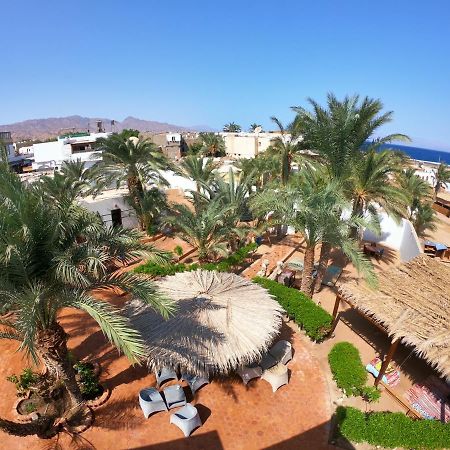 Miramar Camp Dahab Exterior foto