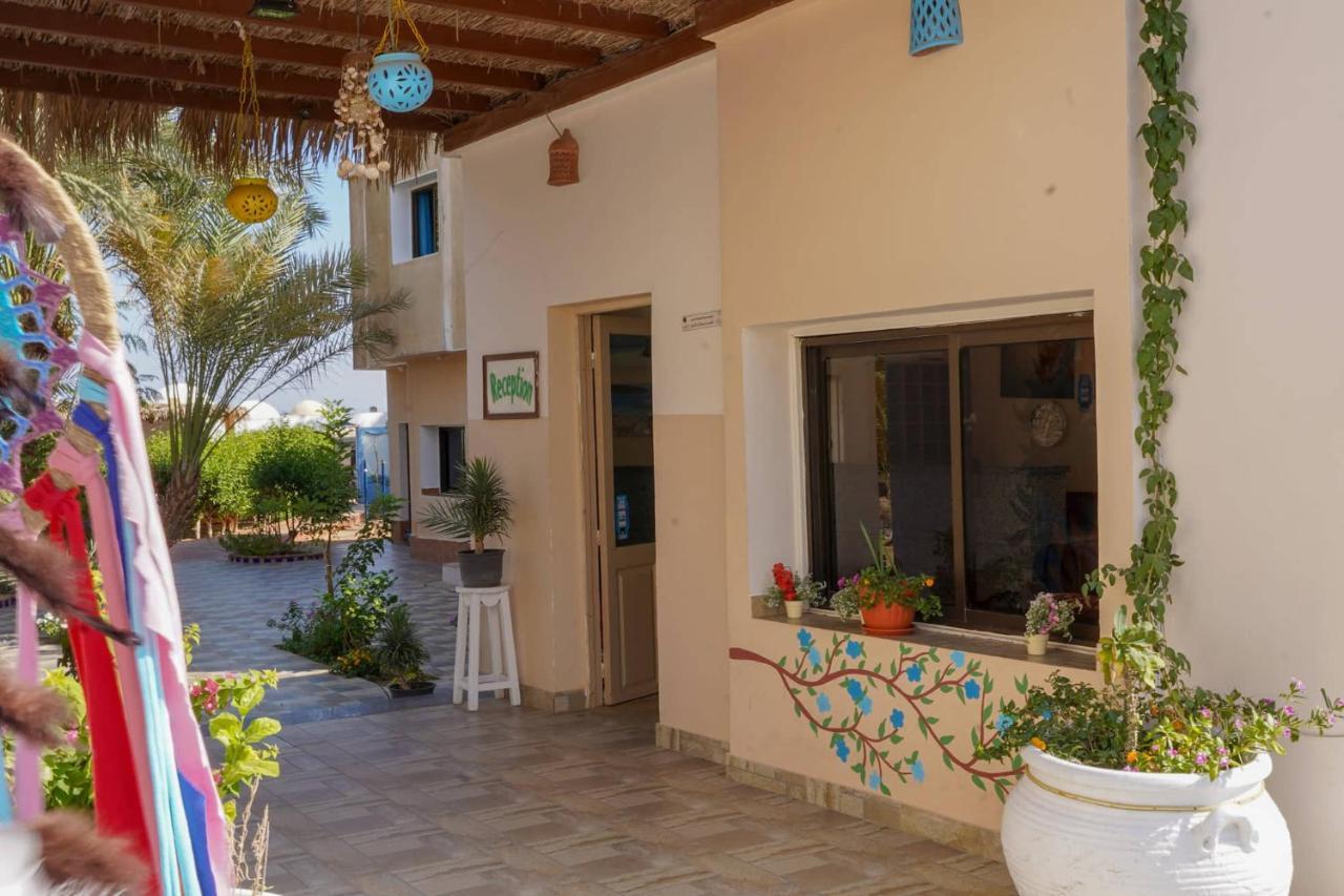 Miramar Camp Dahab Exterior foto