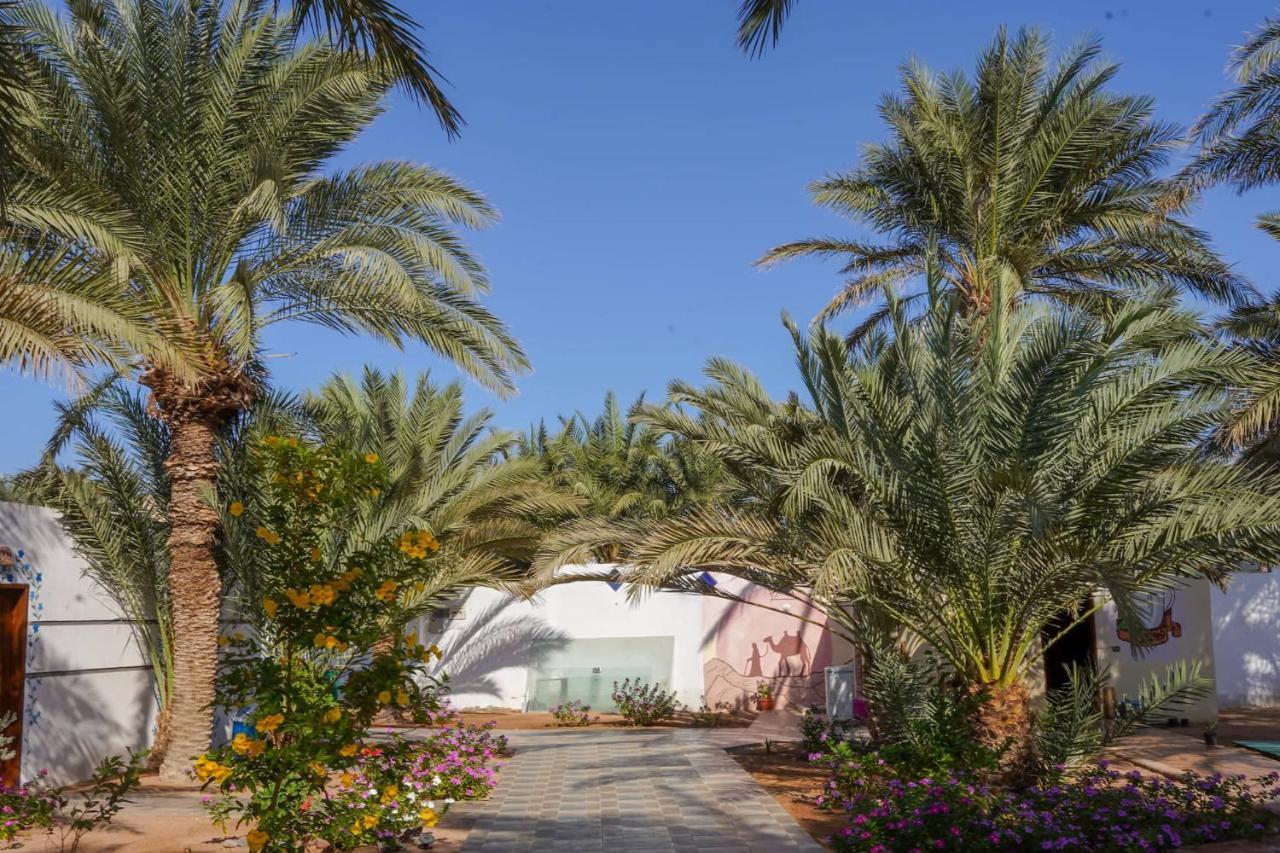 Miramar Camp Dahab Exterior foto