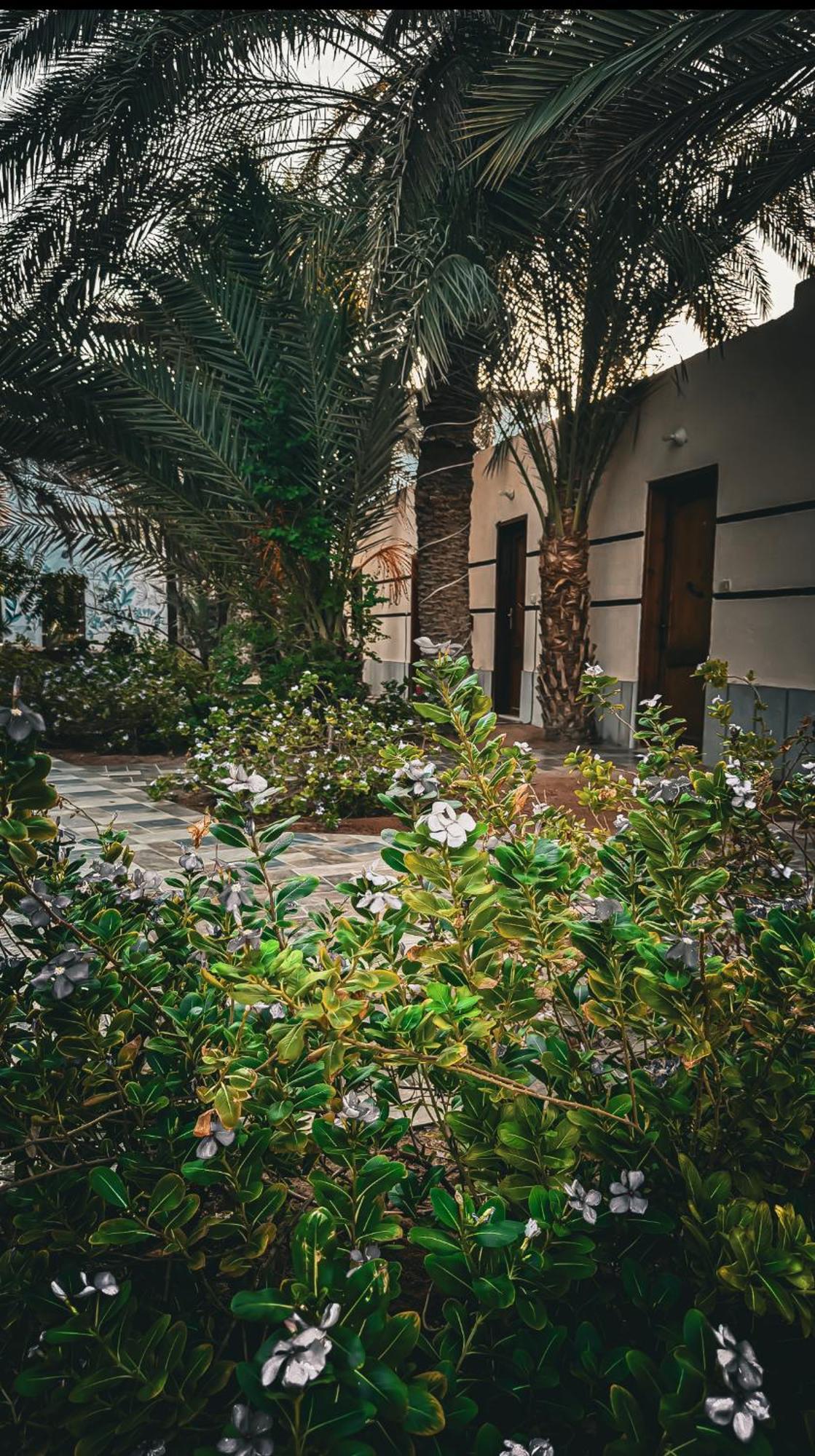 Miramar Camp Dahab Exterior foto