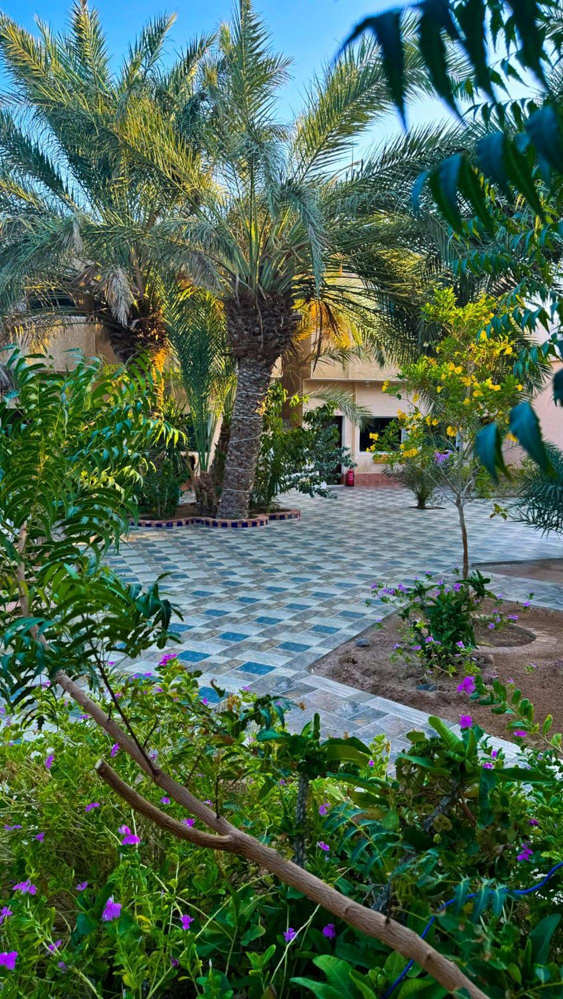 Miramar Camp Dahab Exterior foto