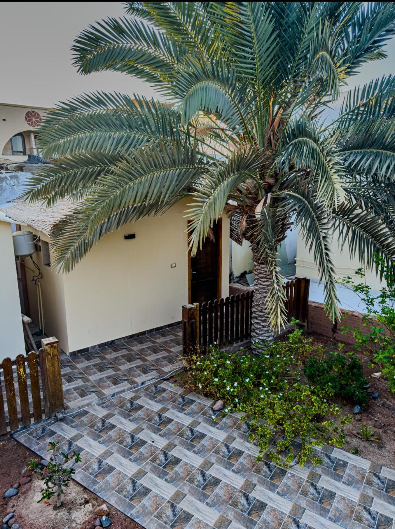 Miramar Camp Dahab Exterior foto