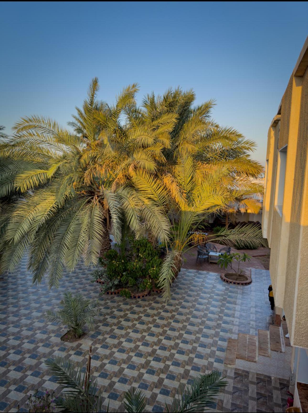 Miramar Camp Dahab Exterior foto