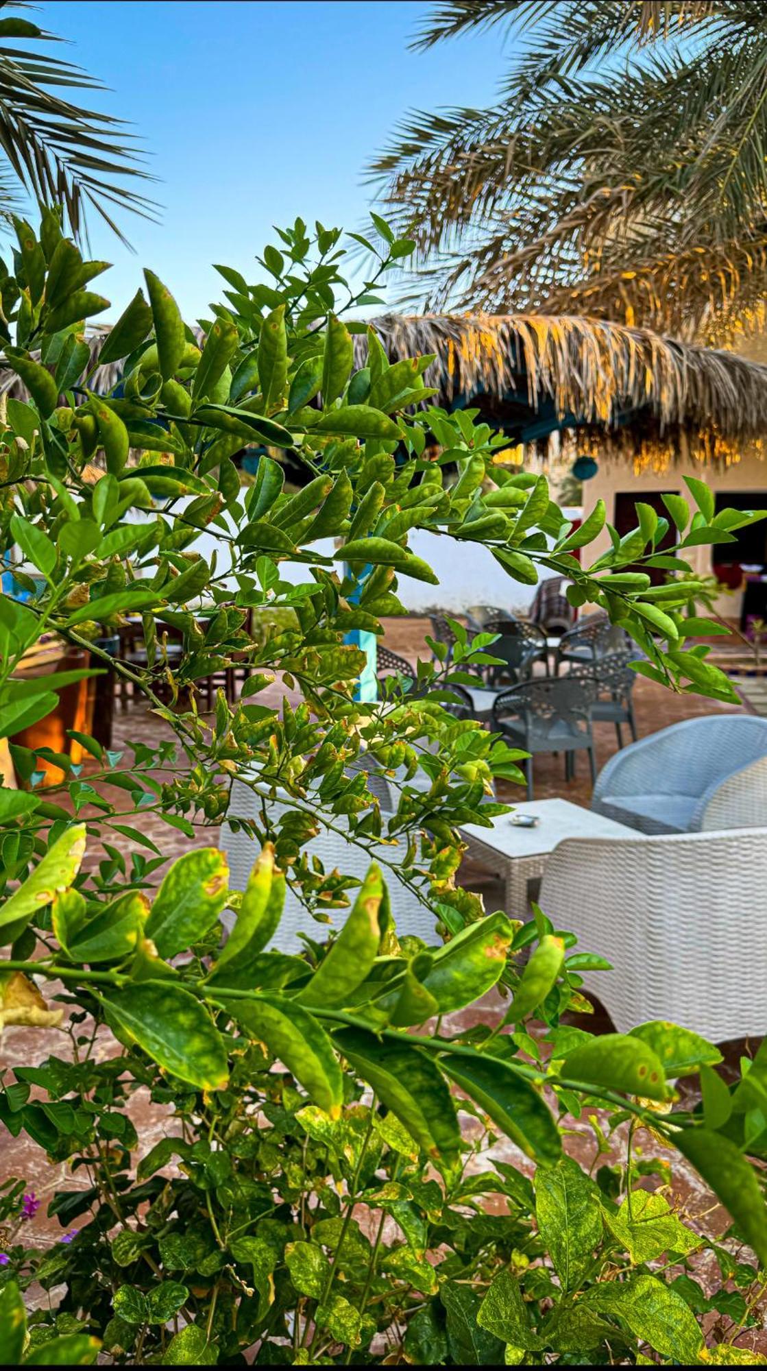 Miramar Camp Dahab Exterior foto