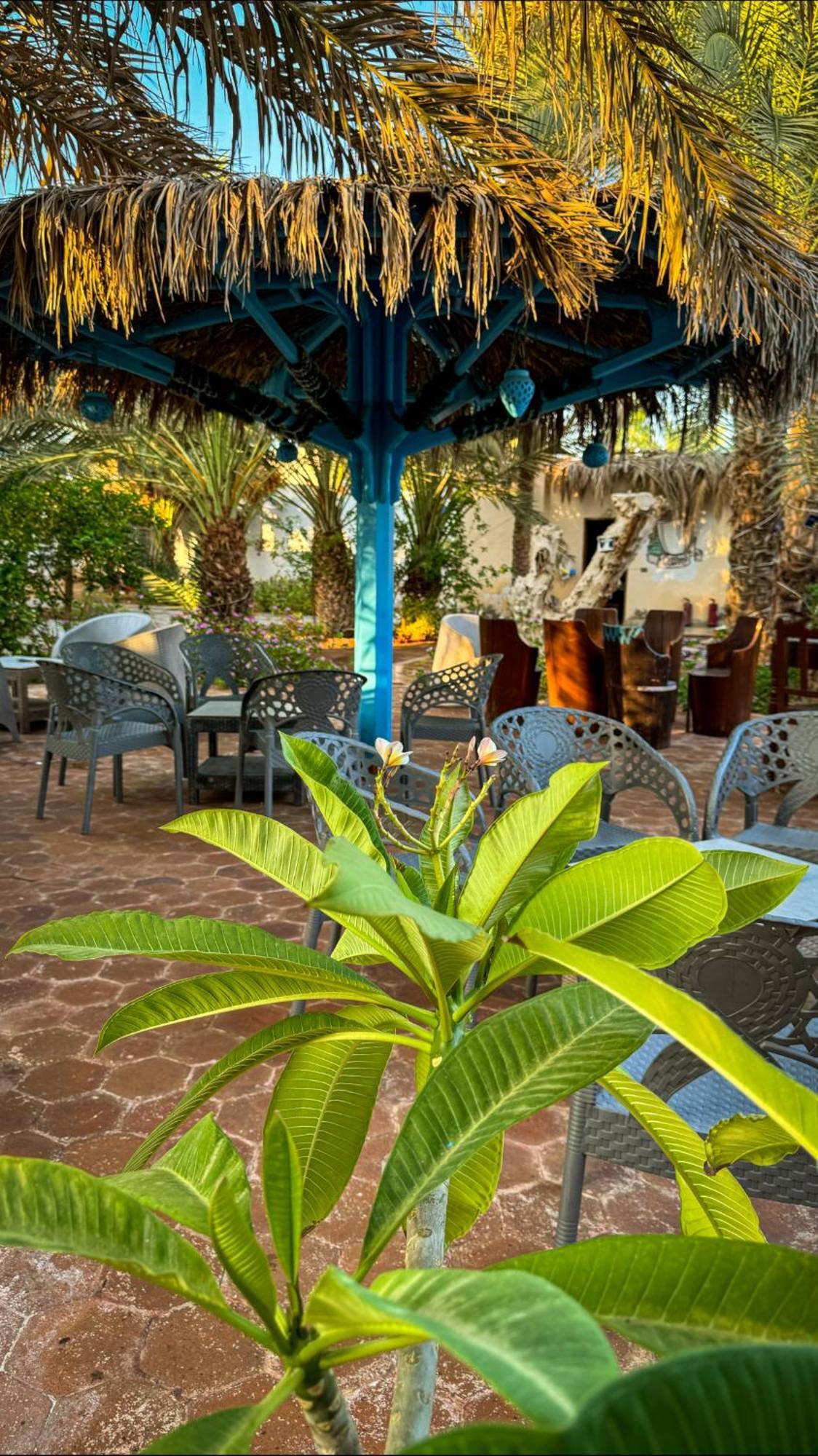 Miramar Camp Dahab Exterior foto