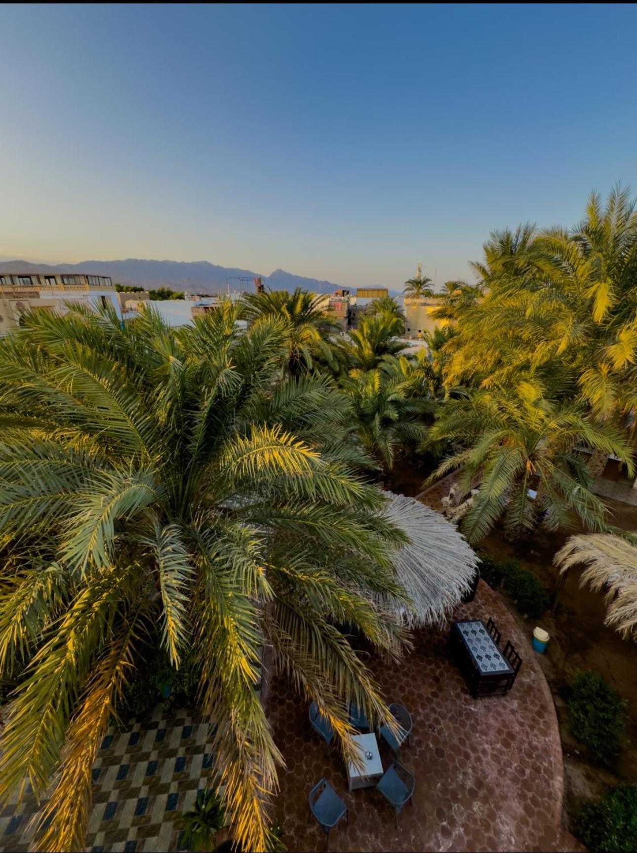 Miramar Camp Dahab Exterior foto