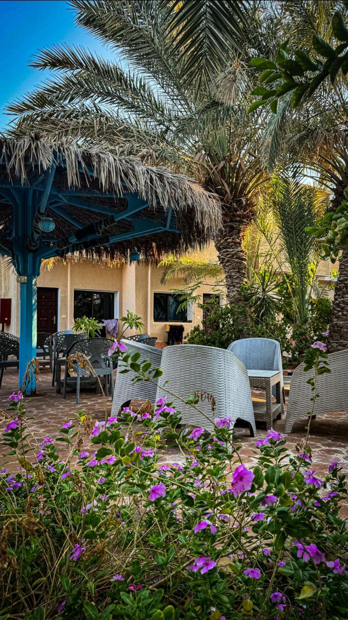 Miramar Camp Dahab Exterior foto
