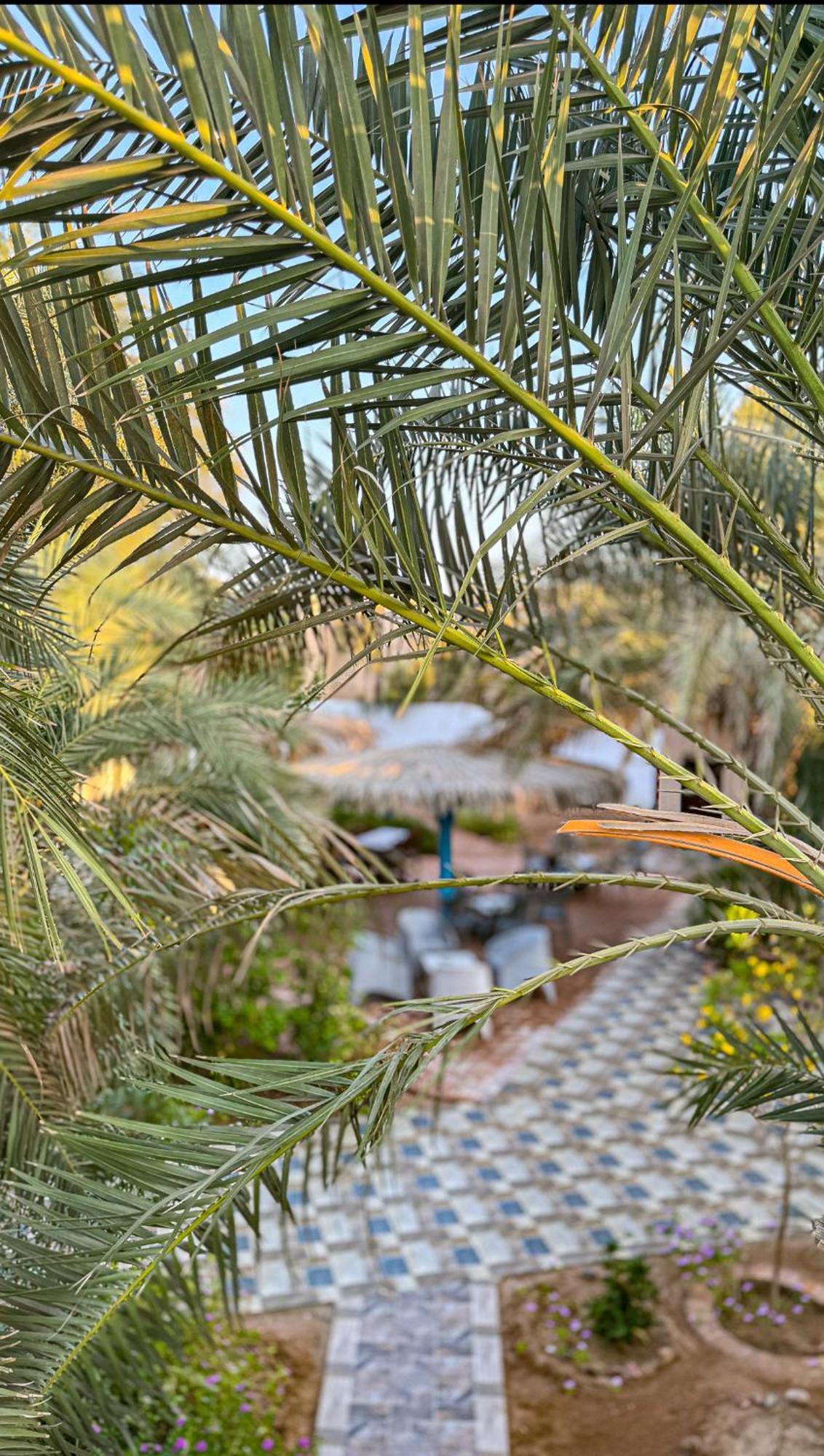 Miramar Camp Dahab Exterior foto