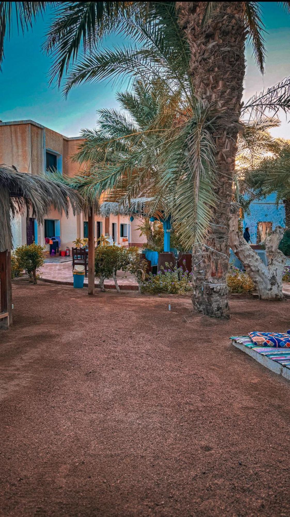 Miramar Camp Dahab Exterior foto