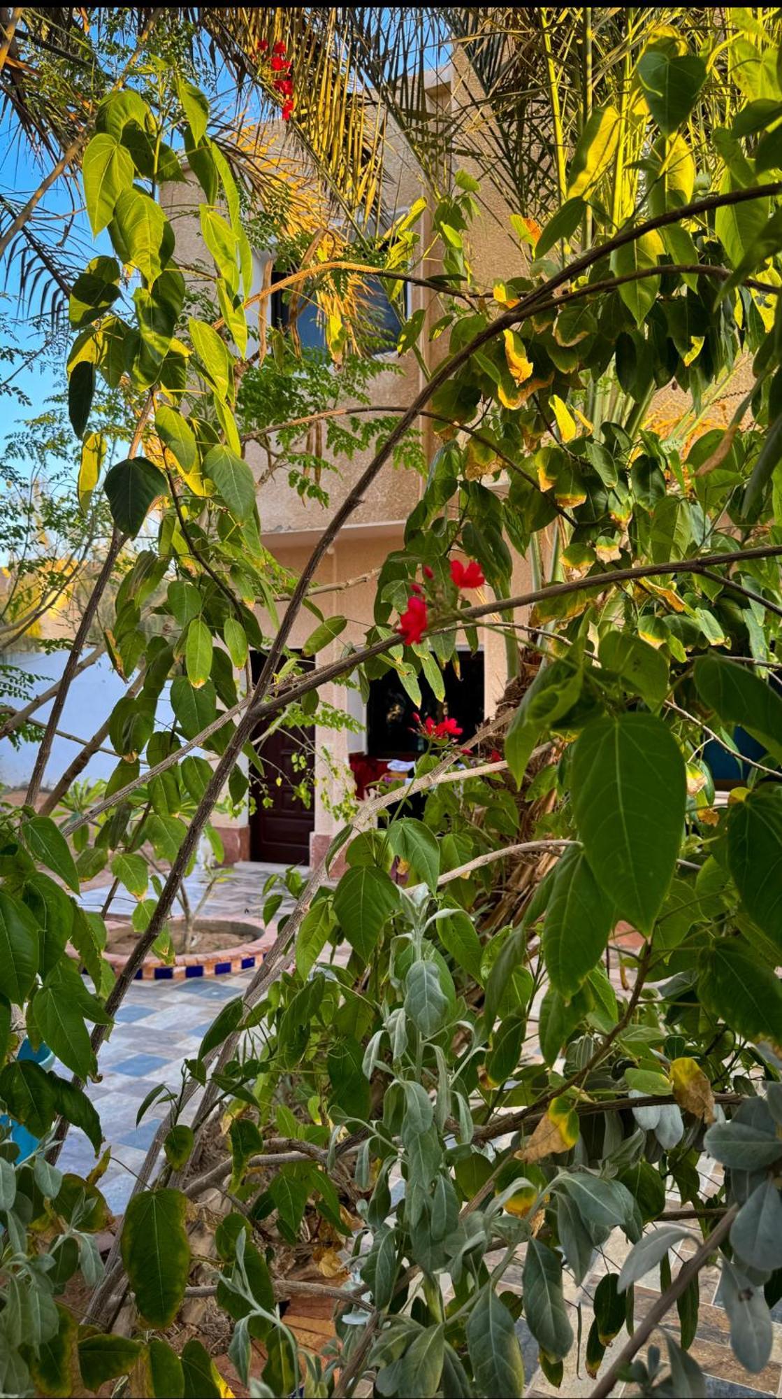 Miramar Camp Dahab Exterior foto