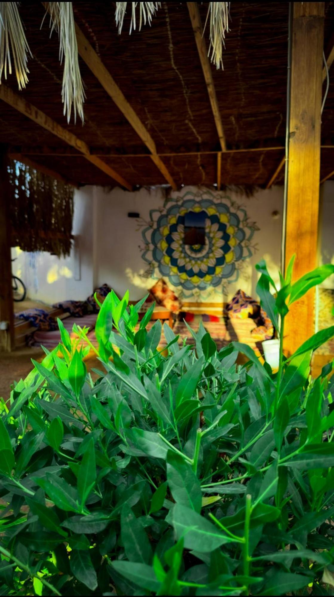 Miramar Camp Dahab Exterior foto
