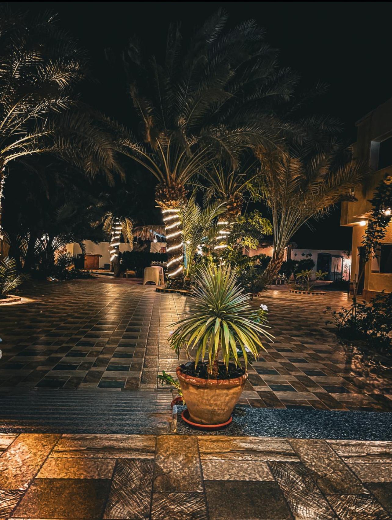 Miramar Camp Dahab Exterior foto