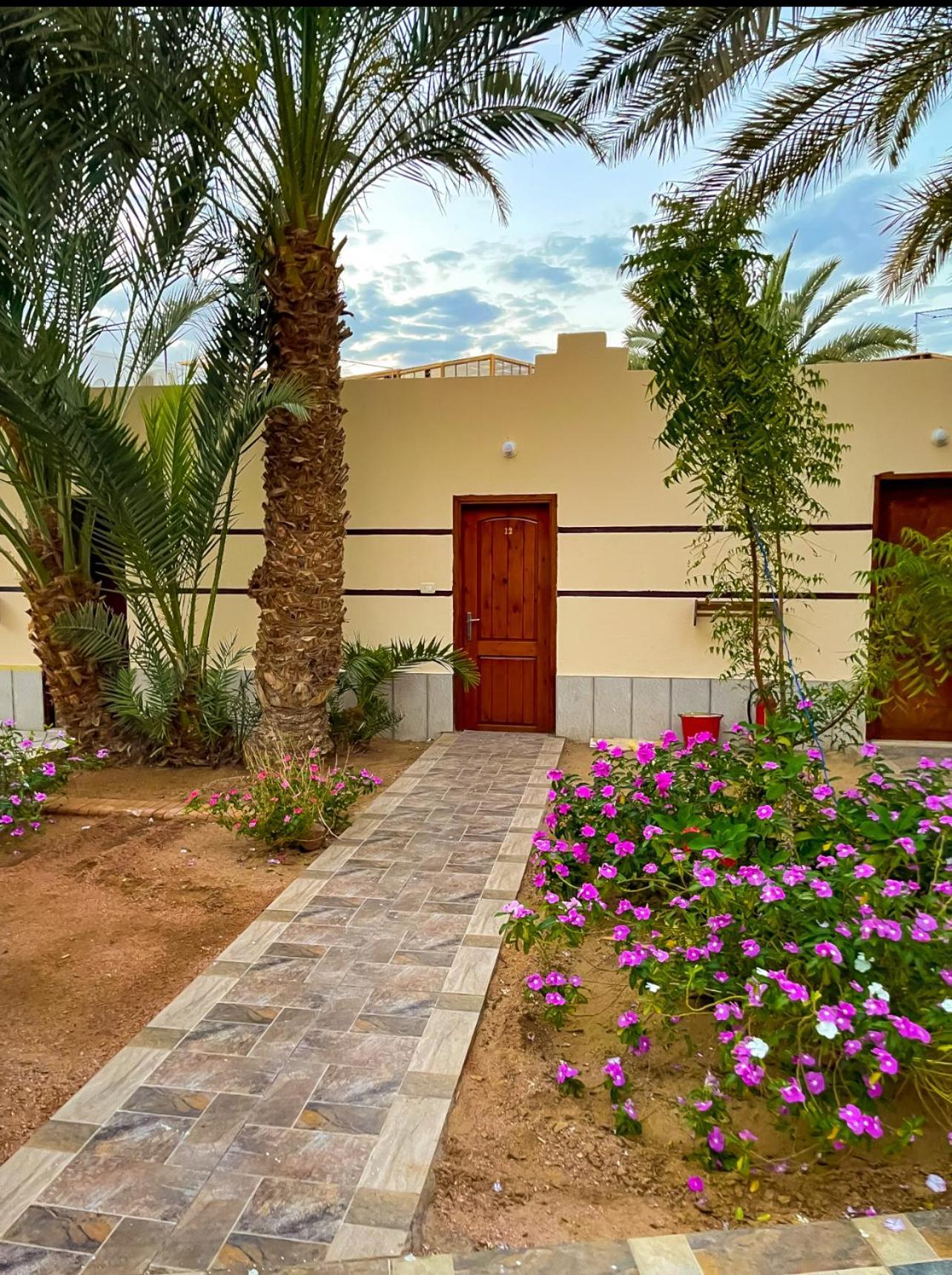Miramar Camp Dahab Exterior foto
