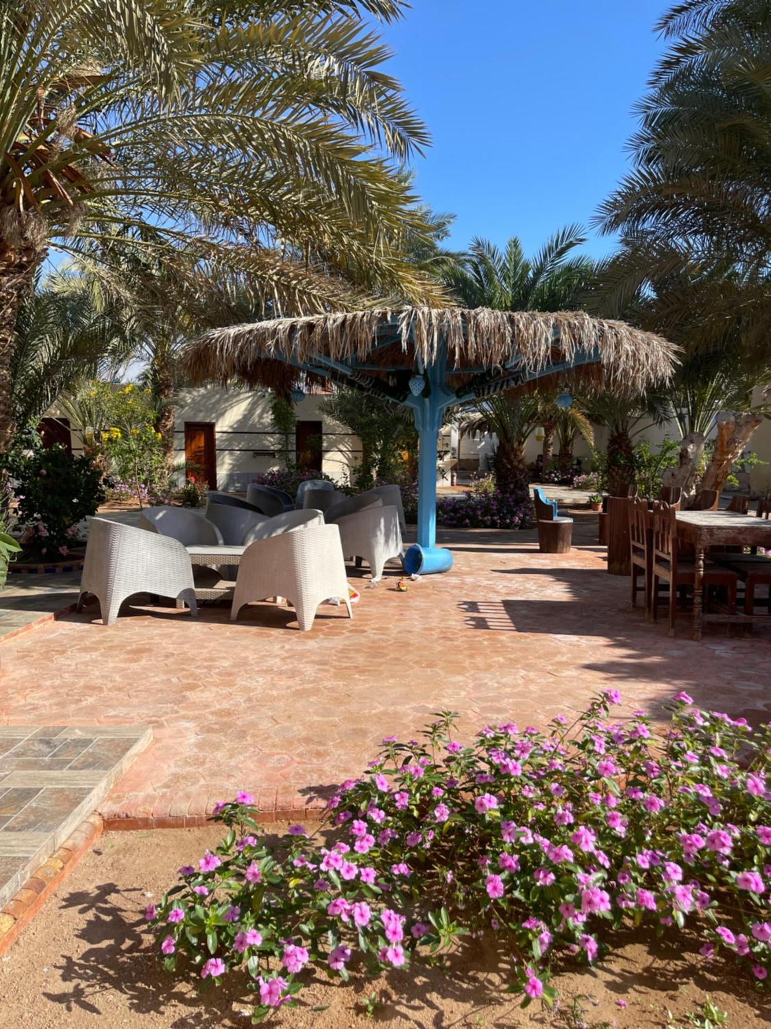 Miramar Camp Dahab Exterior foto