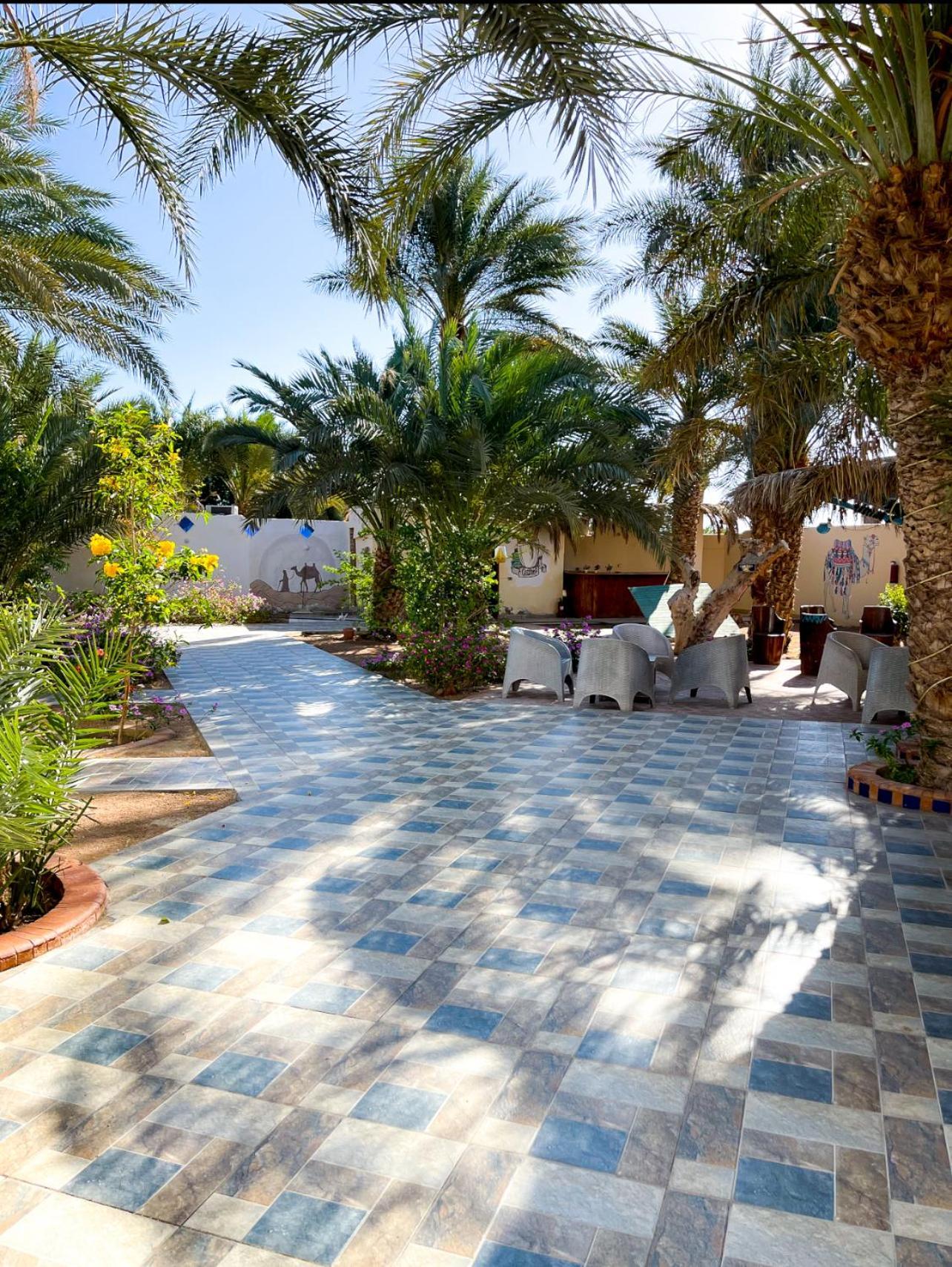 Miramar Camp Dahab Exterior foto